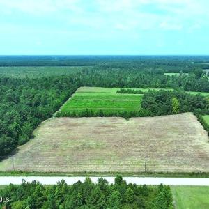 Photo #3 of 6609 Strickland, Green Sea, SC 4.7 acres
