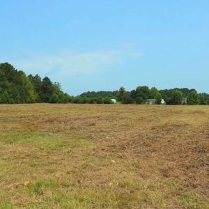 Photo #12 of 6609 Strickland, Green Sea, SC 4.7 acres