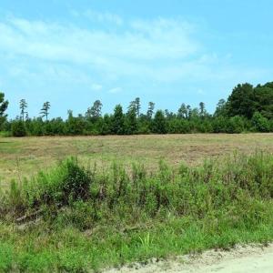 Photo #6 of 6609 Strickland, Green Sea, SC 4.7 acres