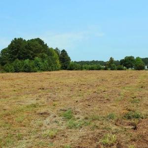 Photo #14 of 6609 Strickland, Green Sea, SC 4.7 acres