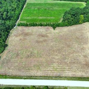 Photo #7 of 6609 Strickland, Green Sea, SC 4.7 acres