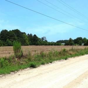 Photo #4 of 6609 Strickland, Green Sea, SC 4.7 acres