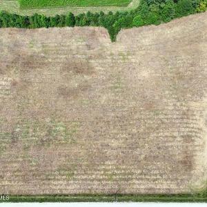 Photo #9 of 6609 Strickland, Green Sea, SC 4.7 acres