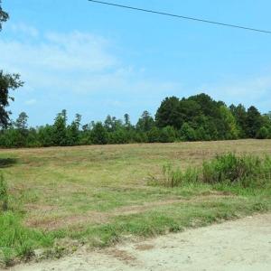 Photo #8 of 6609 Strickland, Green Sea, SC 4.7 acres