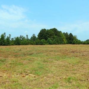 Photo #13 of 6609 Strickland, Green Sea, SC 4.7 acres