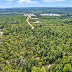 Photo #4 of 718 Green Lake, Ellerbe, NC 5.9 acres