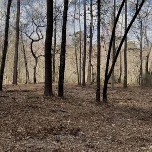 Photo #4 of Victoria, Winnabow, NC 12.4 acres