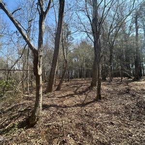 Photo #10 of Victoria, Winnabow, NC 12.4 acres