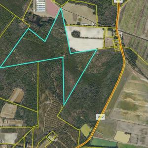 Photo #1 of 140.5 Acs Combined Tract, Garland, NC 140.5 acres