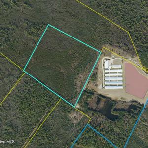Photo #1 of 44 Acres Nance-Coble Tract, Garland, NC 44.0 acres