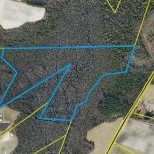 Photo #1 of 60 Acres 60 Ac Rom M. Smith Tract, Elizabethtown, NC 60.0 acres