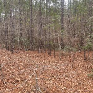 Photo #6 of Lot 6 & 7 Bumpy, Sanford, NC 1.2 acres