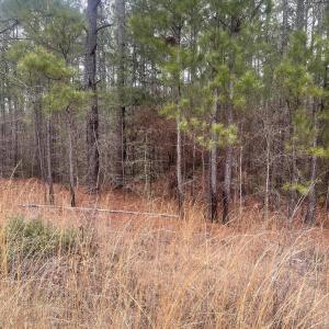 Photo #5 of Lot 6 & 7 Bumpy, Sanford, NC 1.2 acres