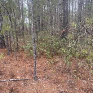 Photo #3 of Lot 6 & 7 Bumpy, Sanford, NC 1.2 acres