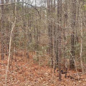 Photo #7 of Lot 6 & 7 Bumpy, Sanford, NC 1.2 acres