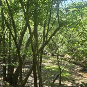 Photo #3 of 234 Circle, Vass, NC 2.2 acres