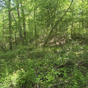Photo #2 of 234 Circle, Vass, NC 2.2 acres