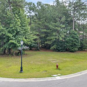 Photo #1 of 154 Muscadine, Wallace, NC 0.6 acres