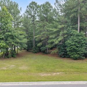 Photo #4 of 154 Muscadine, Wallace, NC 0.6 acres