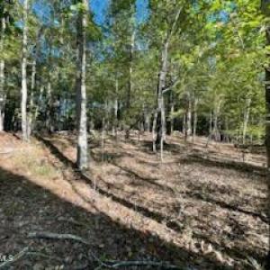 Photo #9 of 147 Rebecca, McCormick, SC 0.9 acres