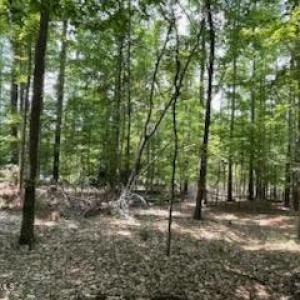 Photo #5 of 147 Rebecca, McCormick, SC 0.9 acres