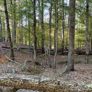 Photo #7 of 147 Rebecca, McCormick, SC 0.9 acres