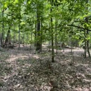 Photo #6 of 147 Rebecca, McCormick, SC 0.9 acres