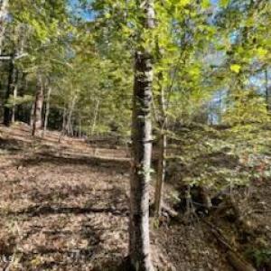 Photo #8 of 147 Rebecca, McCormick, SC 0.9 acres