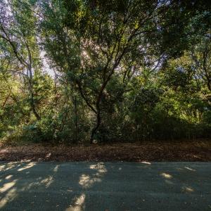 Photo #6 of 581 Forest Dunes, Pine Knoll Shores, NC 0.6 acres