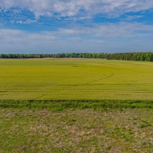 Photo #7 of 301 Wildcat, Edenton, NC 1.8 acres