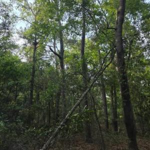 Photo #5 of 15a Woodberry, North Augusta, SC