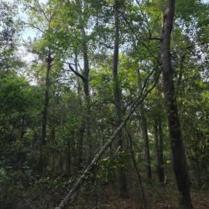Photo #4 of 10a Woodberry, North Augusta, SC
