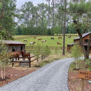 Photo #3 of Nc Highway 210, Currie, NC