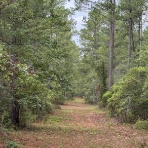 Photo #6 of Nc Highway 210, Currie, NC