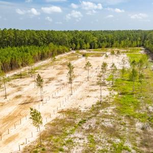 Photo #6 of 618 Shadyview Beach, Havelock, NC 10.0 acres