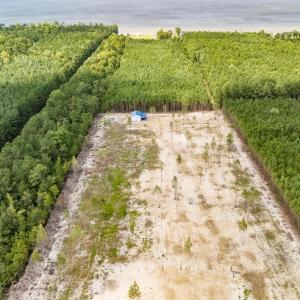 Photo #19 of 618 Shadyview Beach, Havelock, NC 10.0 acres