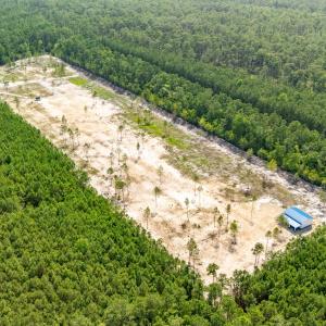 Photo #35 of 618 Shadyview Beach, Havelock, NC 10.0 acres