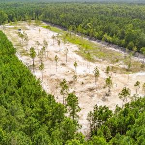 Photo #36 of 618 Shadyview Beach, Havelock, NC 10.0 acres