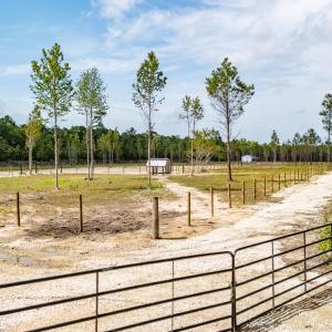 Photo #13 of 618 Shadyview Beach, Havelock, NC 10.0 acres