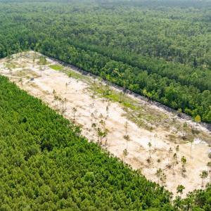 Photo #33 of 618 Shadyview Beach, Havelock, NC 10.0 acres