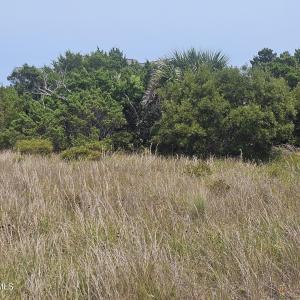 Photo #5 of 8 Black Skimmer, Bald Head Island, NC 0.2 acres