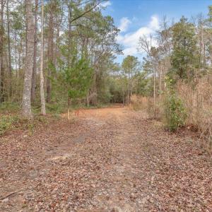 Photo #49 of 2850 Lake Pointe, Holden Beach, NC 3.8 acres