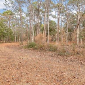 Photo #46 of 2850 Lake Pointe, Holden Beach, NC 3.8 acres