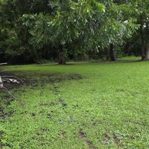 Photo #5 of 420 Respess, Washington, NC 0.1 acres