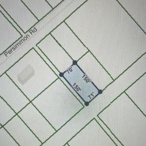 Photo #2 of 322 & 323 Magnolia, Boiling Spring Lakes, NC 0.5 acres