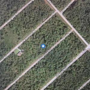 Photo #2 of 322 Magnolia, Boiling Spring Lakes, NC 0.2 acres