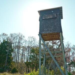 Photo #2 of 3277 Hodges, Scranton, NC 200.0 acres