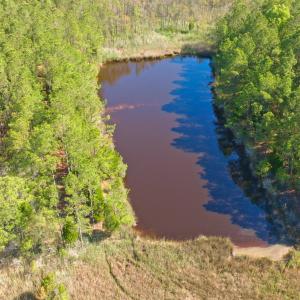 Photo #34 of 3277 Hodges, Scranton, NC 200.0 acres