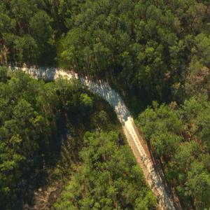 Photo #7 of 3277 Hodges, Scranton, NC 200.0 acres