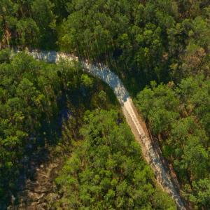Photo #26 of 3277 Hodges, Scranton, NC 200.0 acres